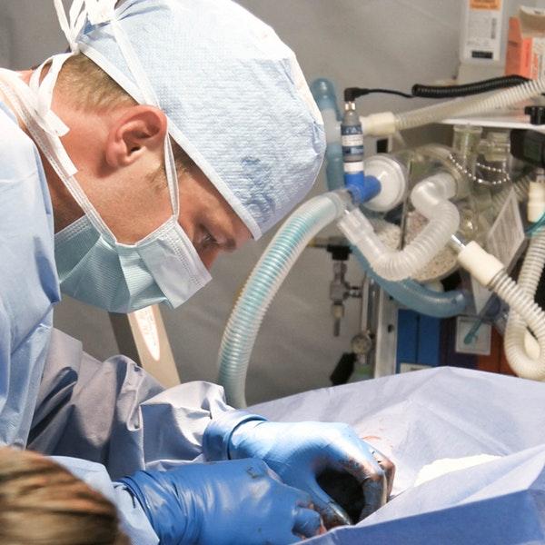 Aesthetic dermatology treatment